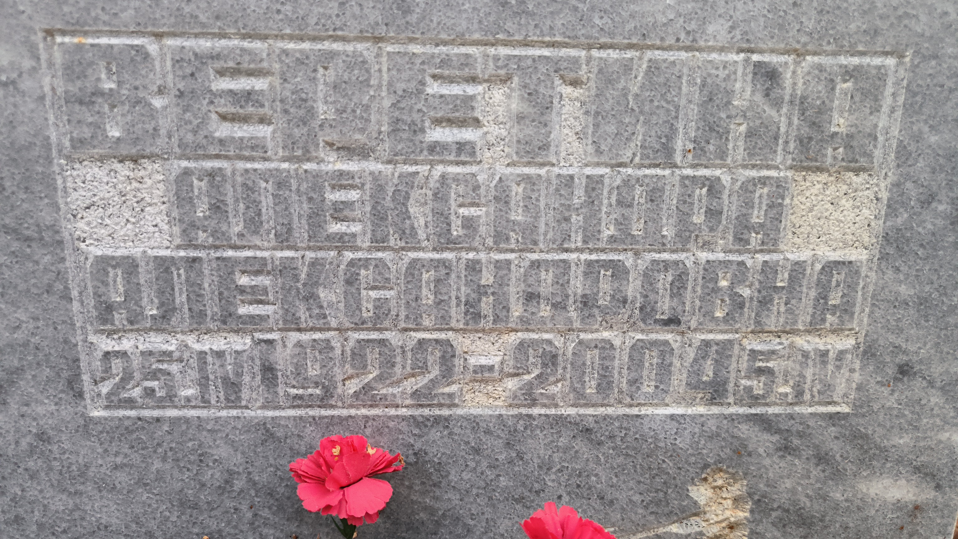 Веретина Александра Александровна