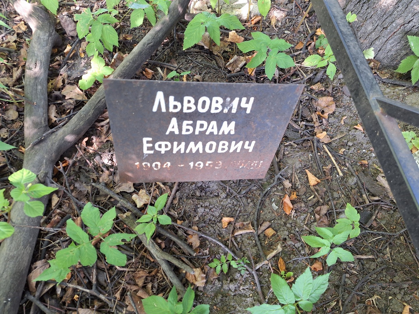 Абрам Львович Ефимович