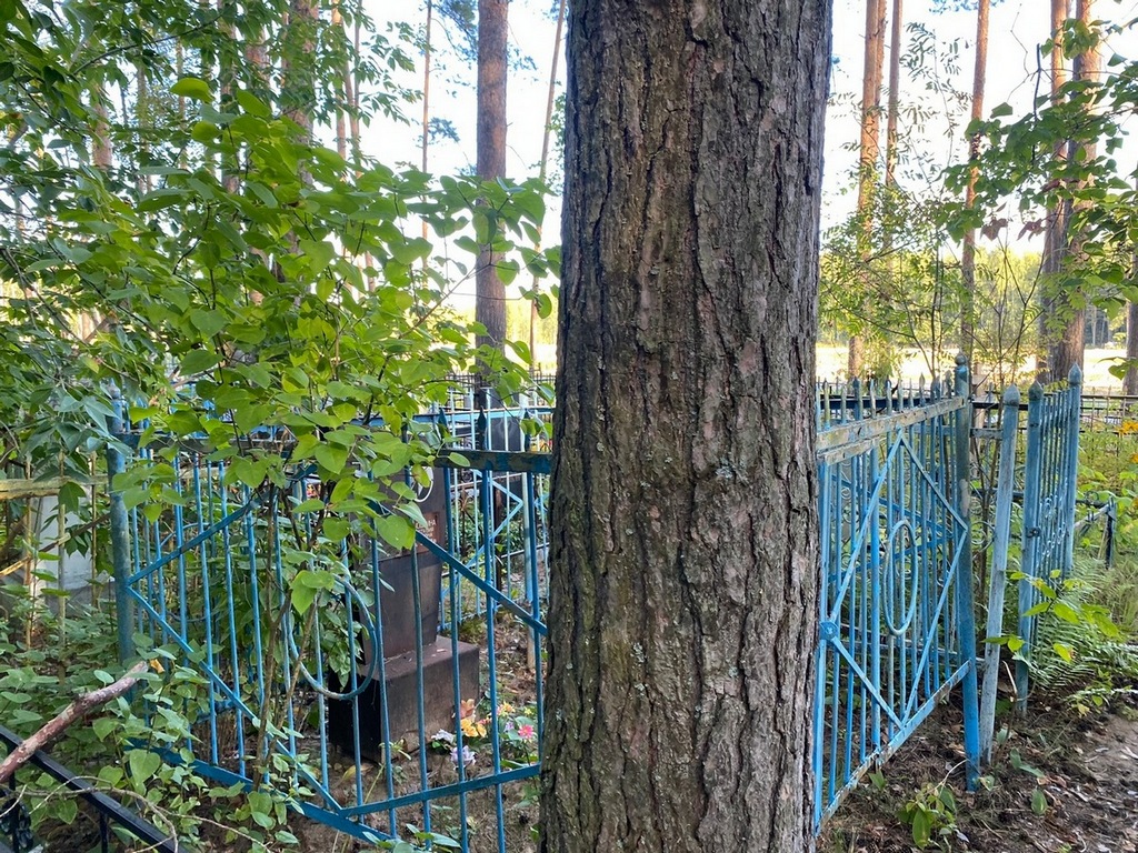 Ильюшкина Анастасия Петровна