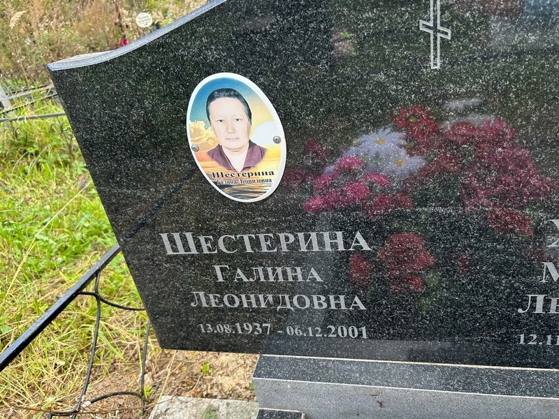 Шестерина