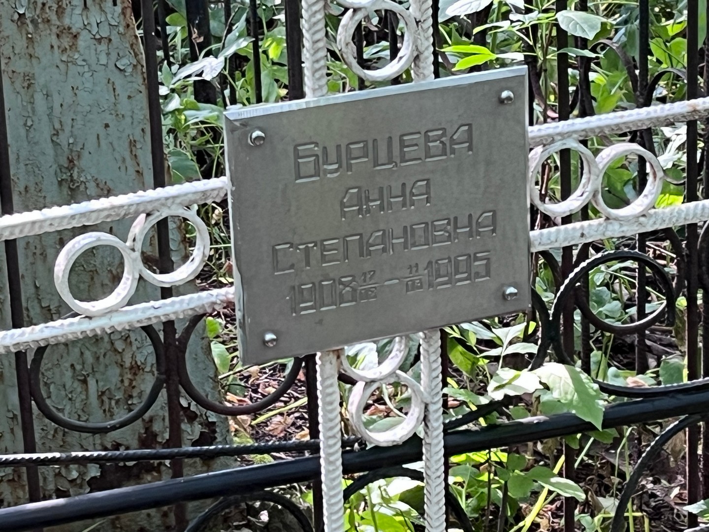 Бурцева