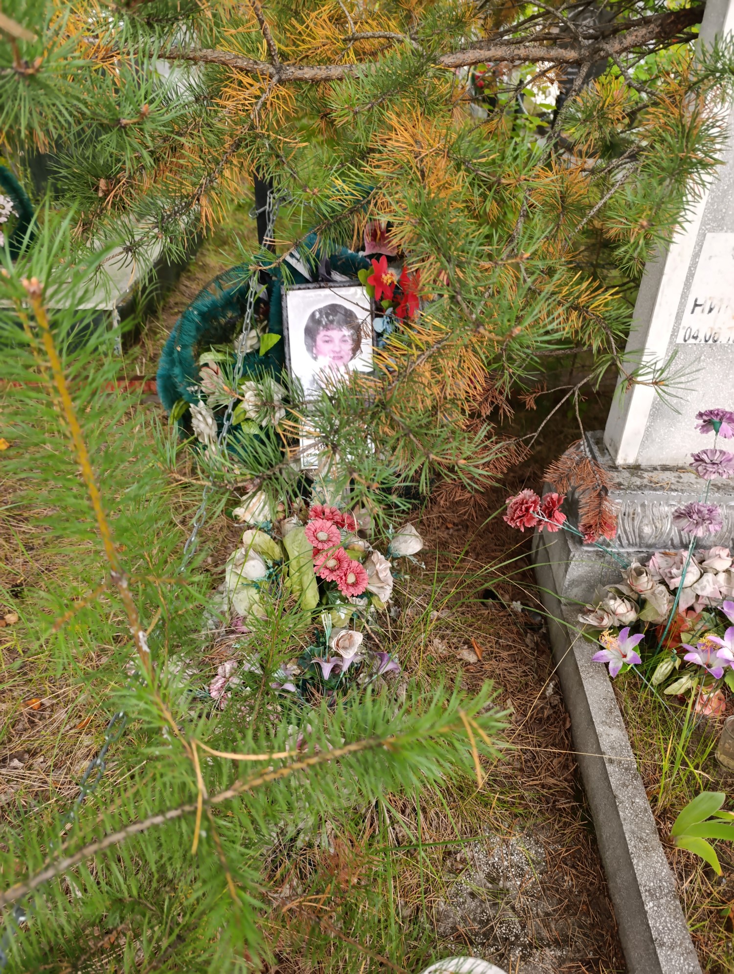 Соколова Светлдана Ивановна