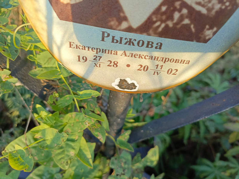 Рыжова