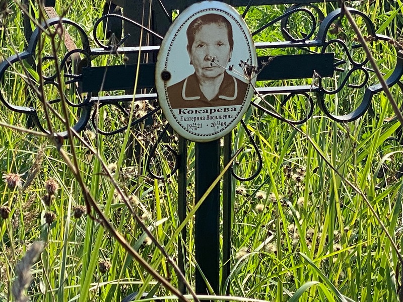 Кокарева