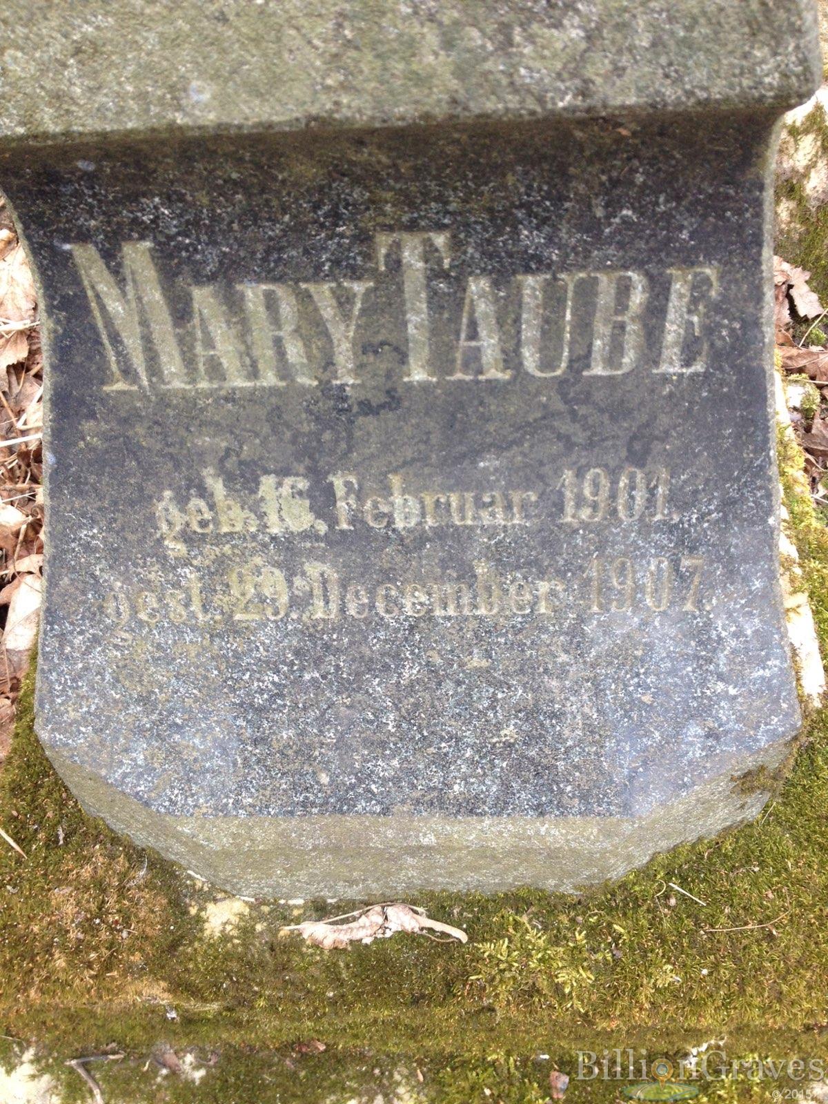 Taube Mary