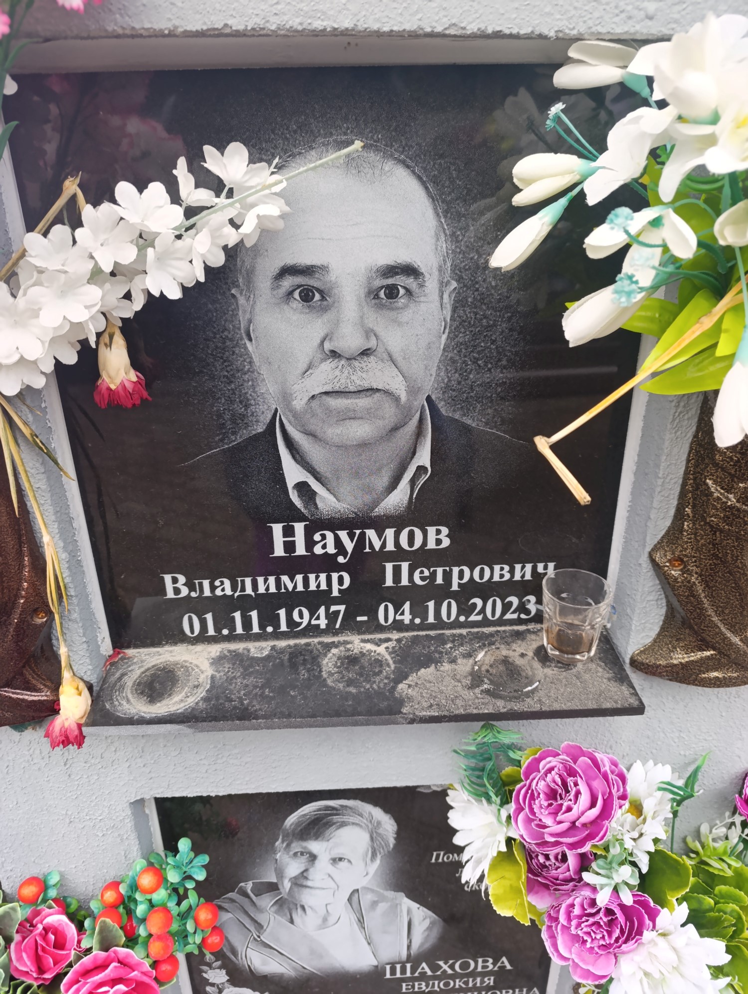 Наумов Владимир Петрович