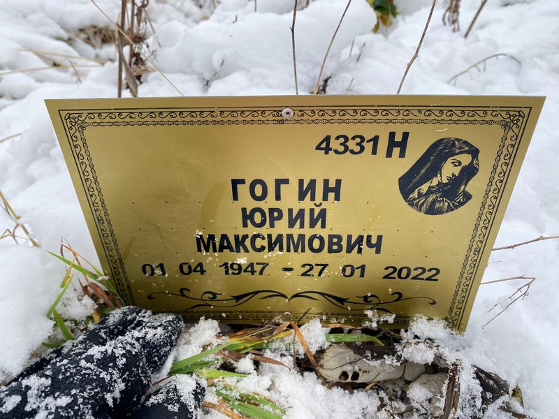 Гогин