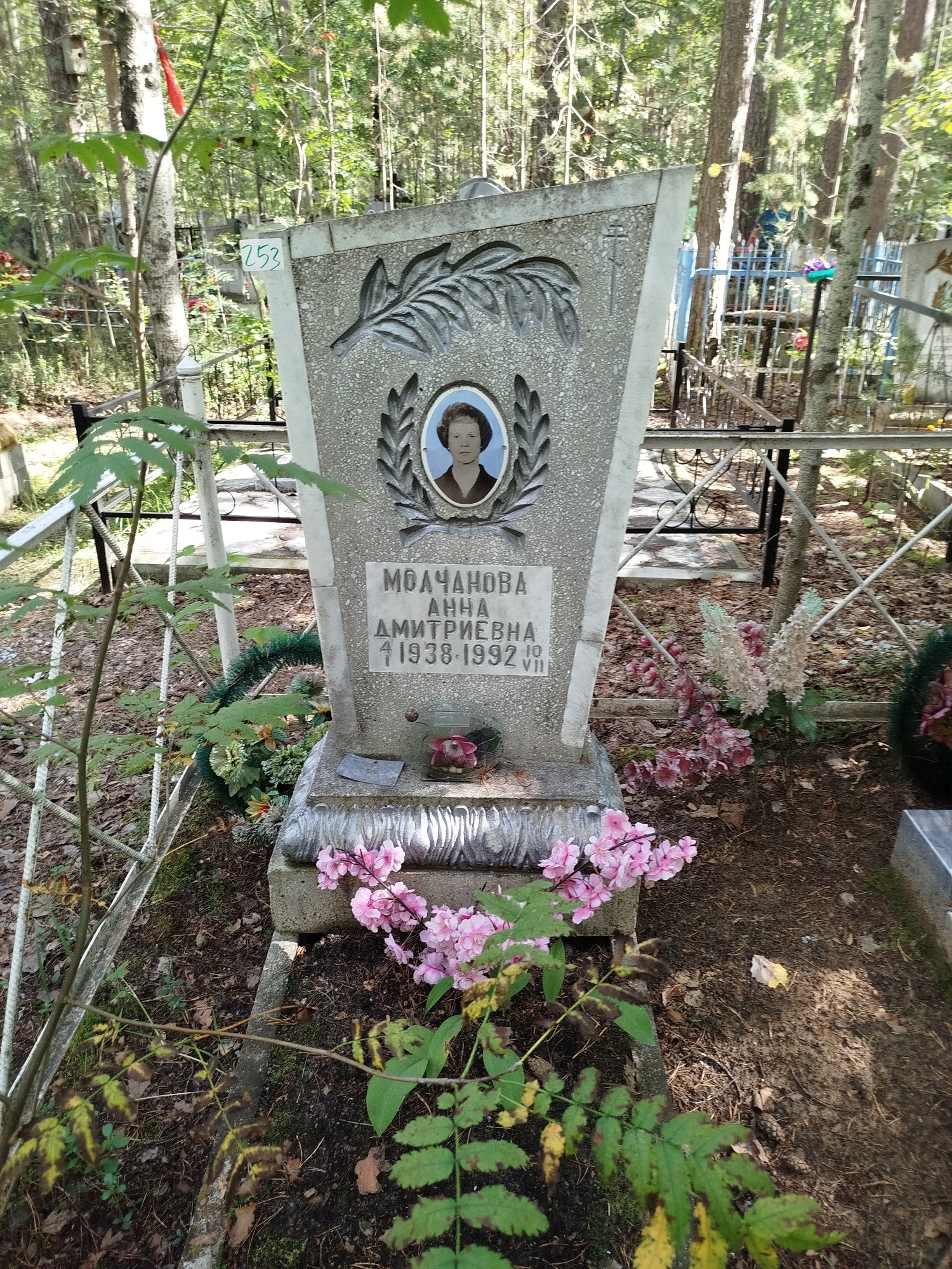 Молчанова Анна Дмитриевна