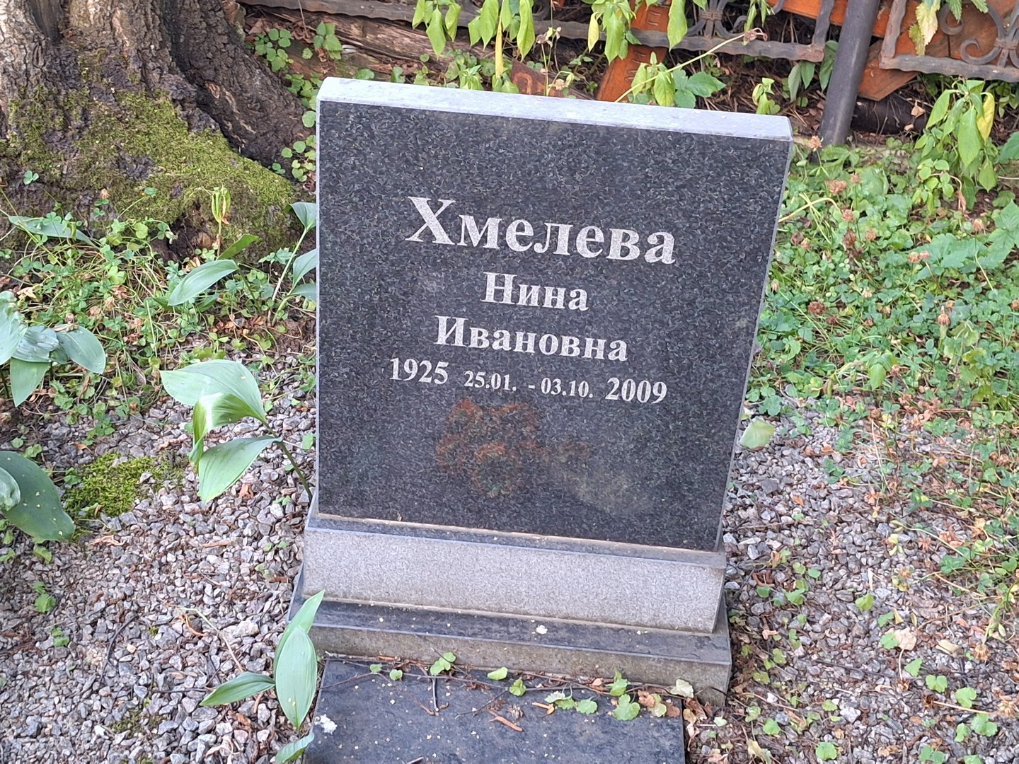 Хмелева