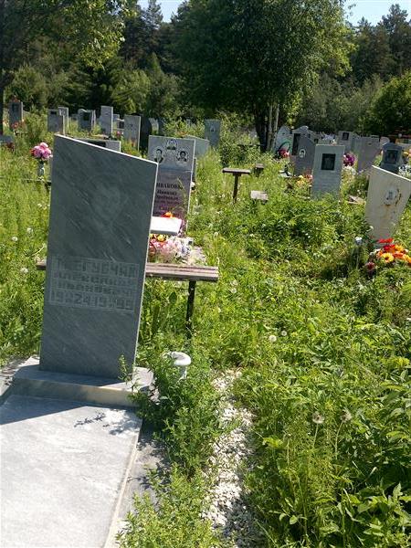 Трегубчак Александр Иванович