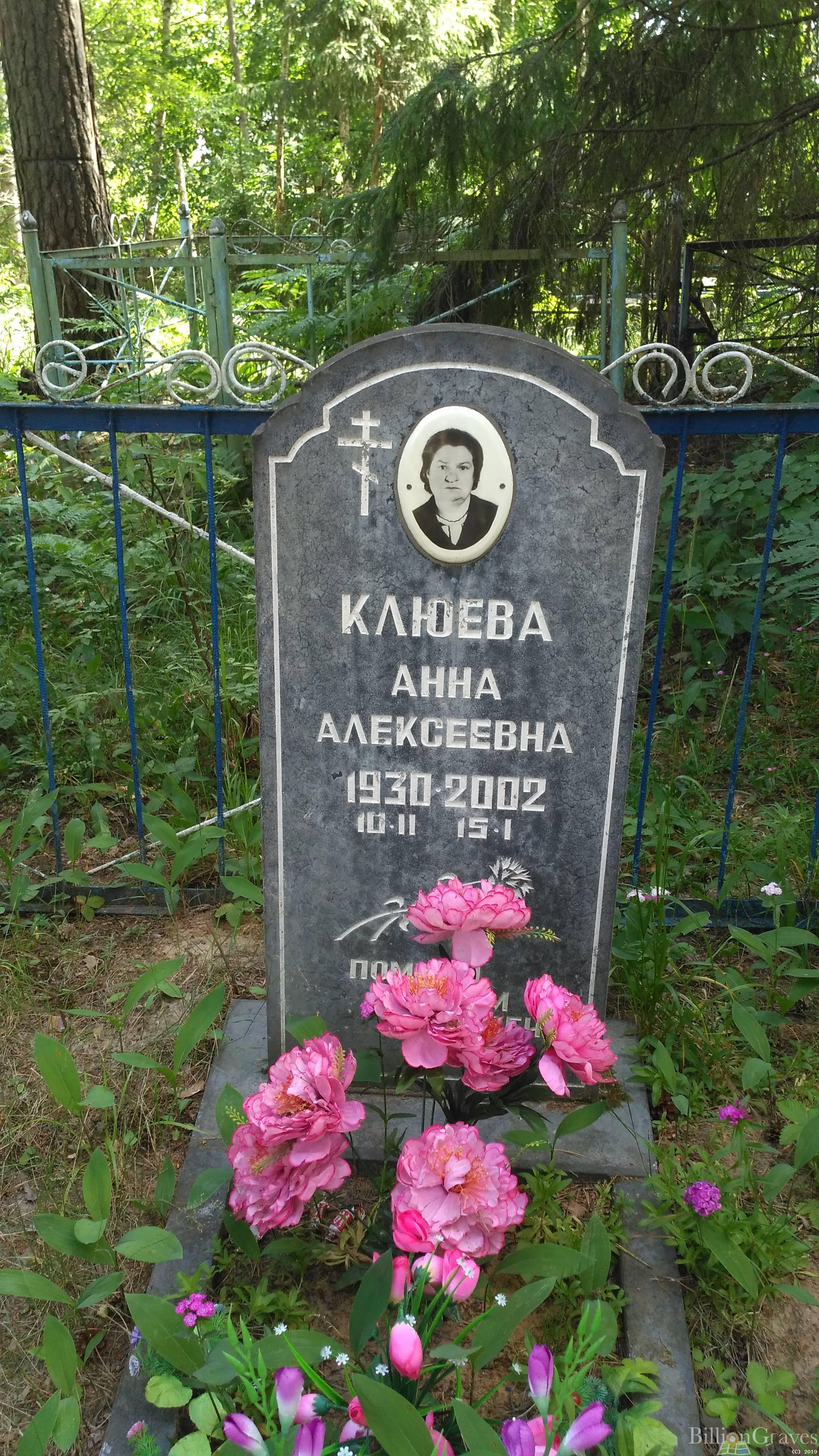 Клюева Анна Алексеевна