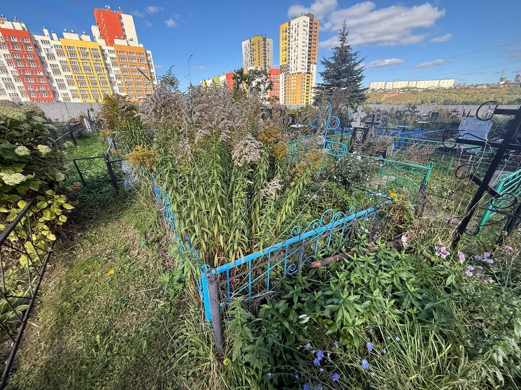 Доронина Тамара Сергеевна