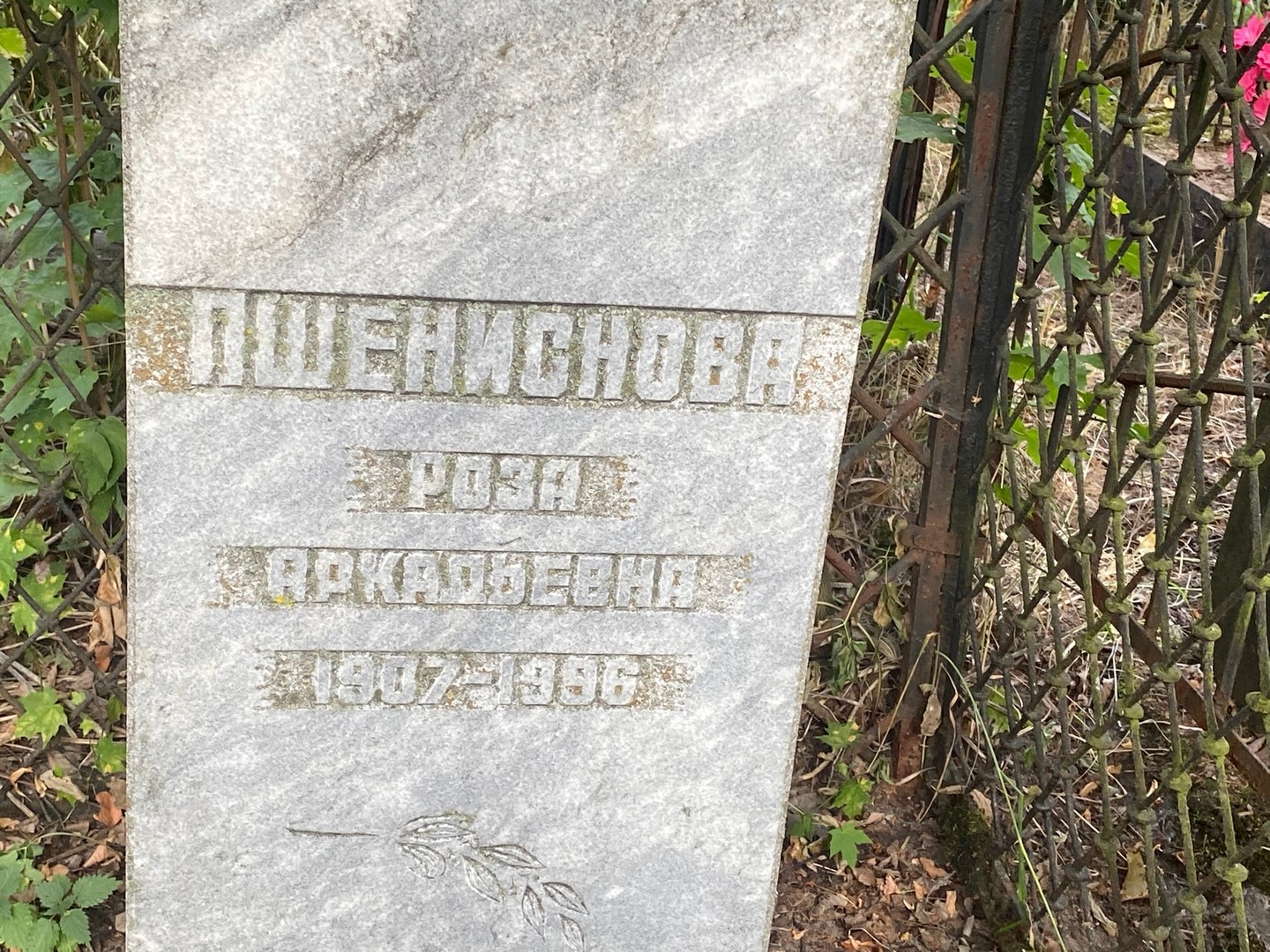 Роза Пшениснова Аркадьевна