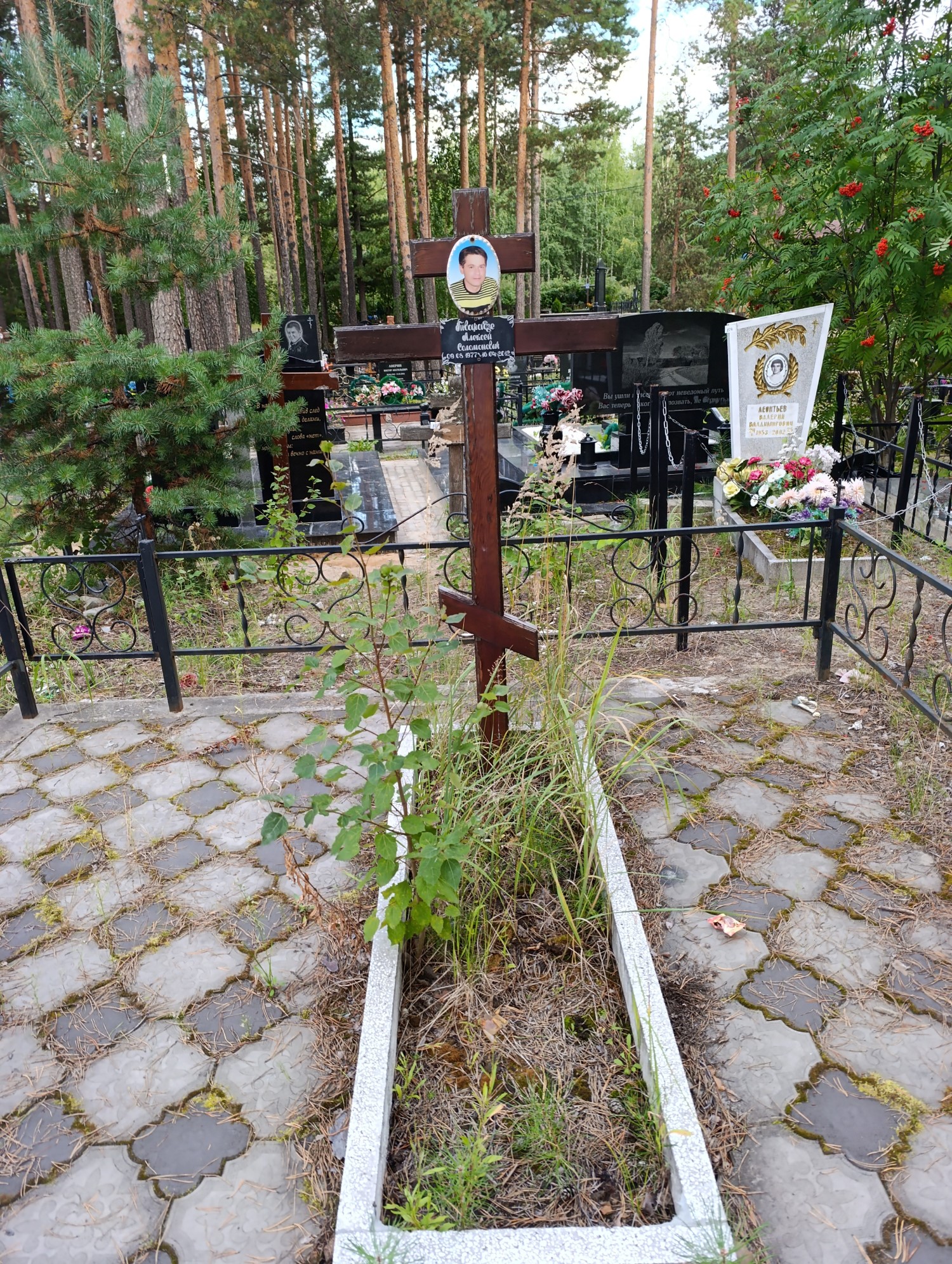 Тварадзе Алексей Соломонович