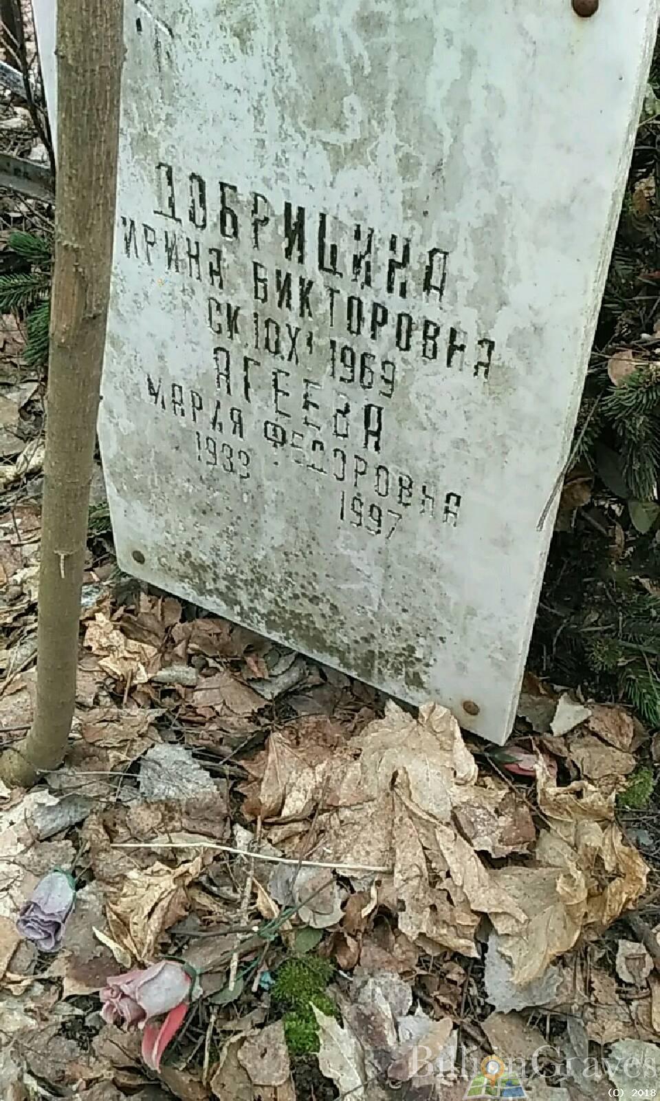 Добрицина Ирина Викторовна
