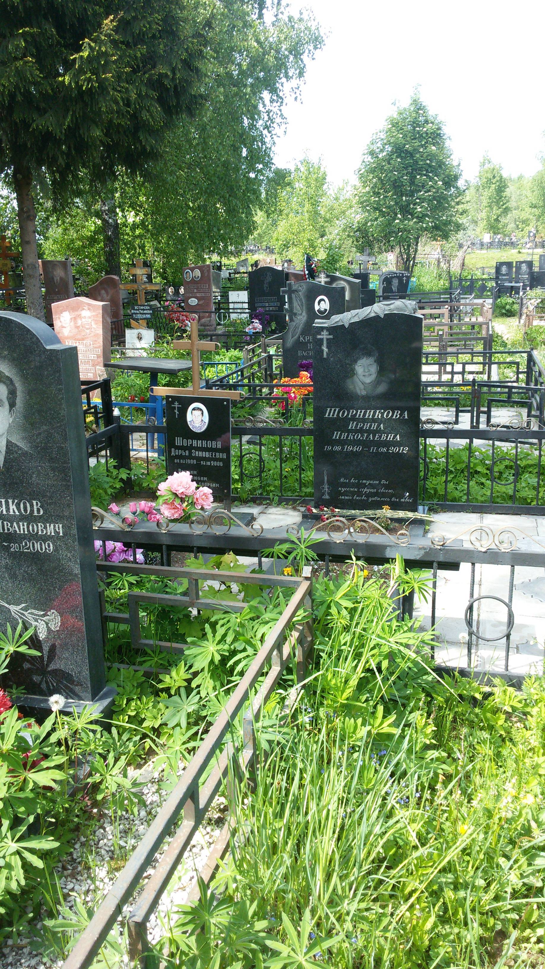 Шорникова Дарья Зиновеевна