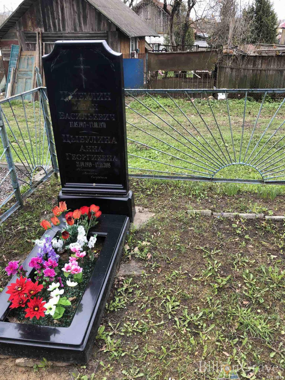Цыбулина Анна Георгиевна