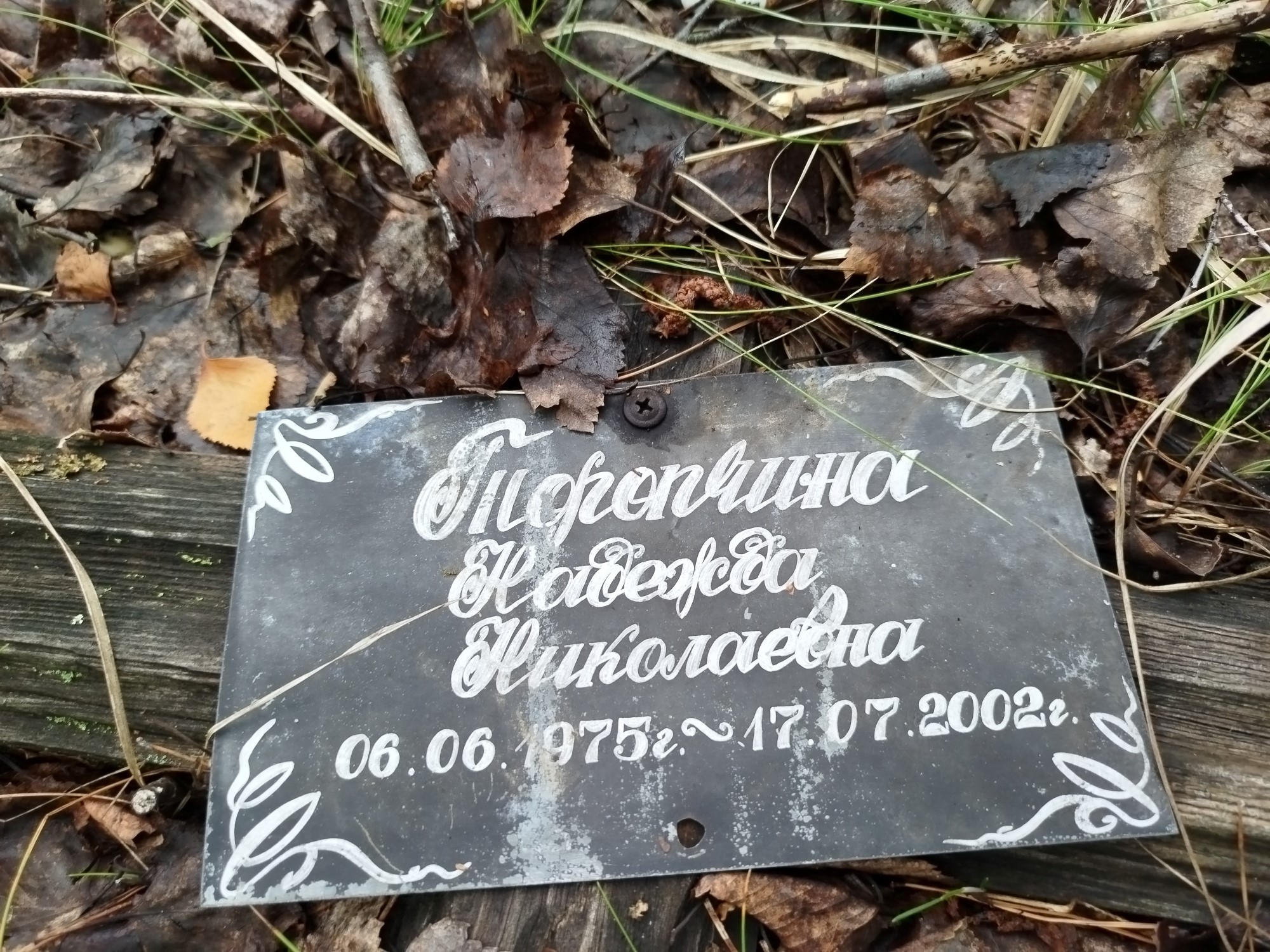 Торопчина Надежда Николаевна