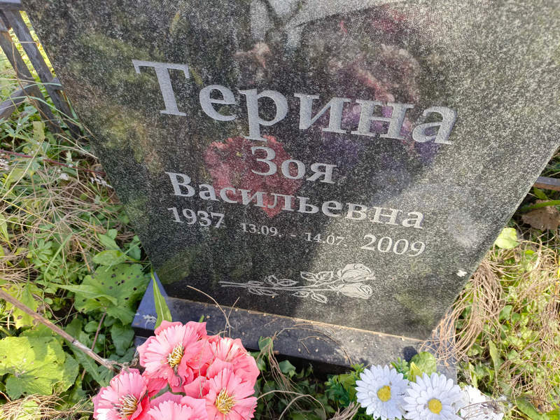 Терина