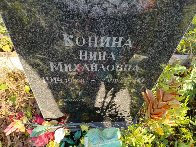Конина