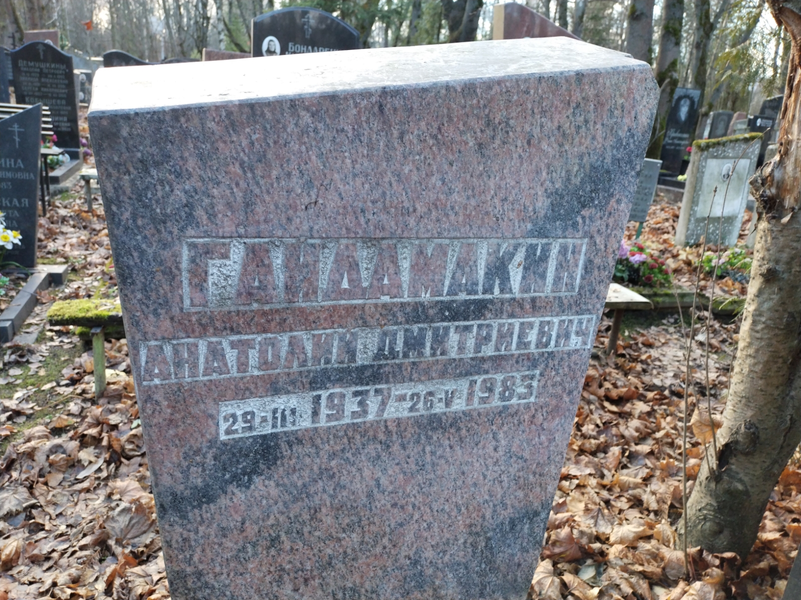 Гайдамакин Анатолий Дмитриевич