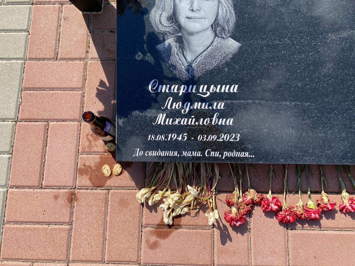 Старицына