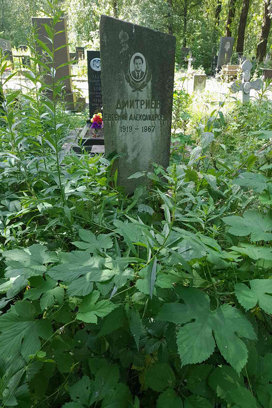 Дмитриев Евгений Александрович
