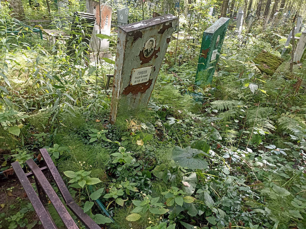 Гордеев Федор Петрович