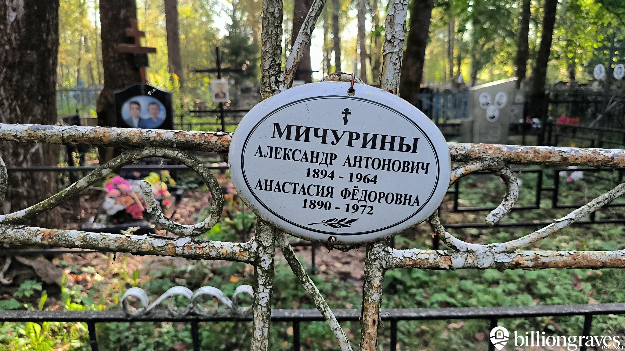 Мичурин Владимир Александрович