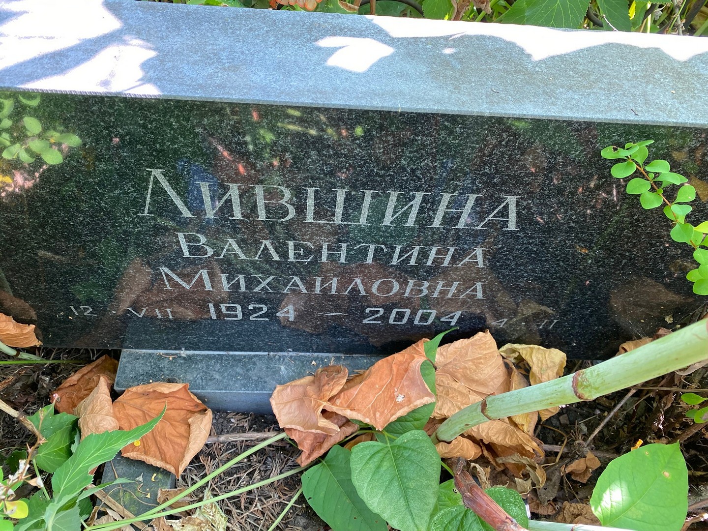 Лившина