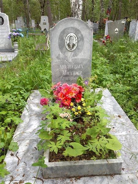 Молодых Михаил Григорьевич