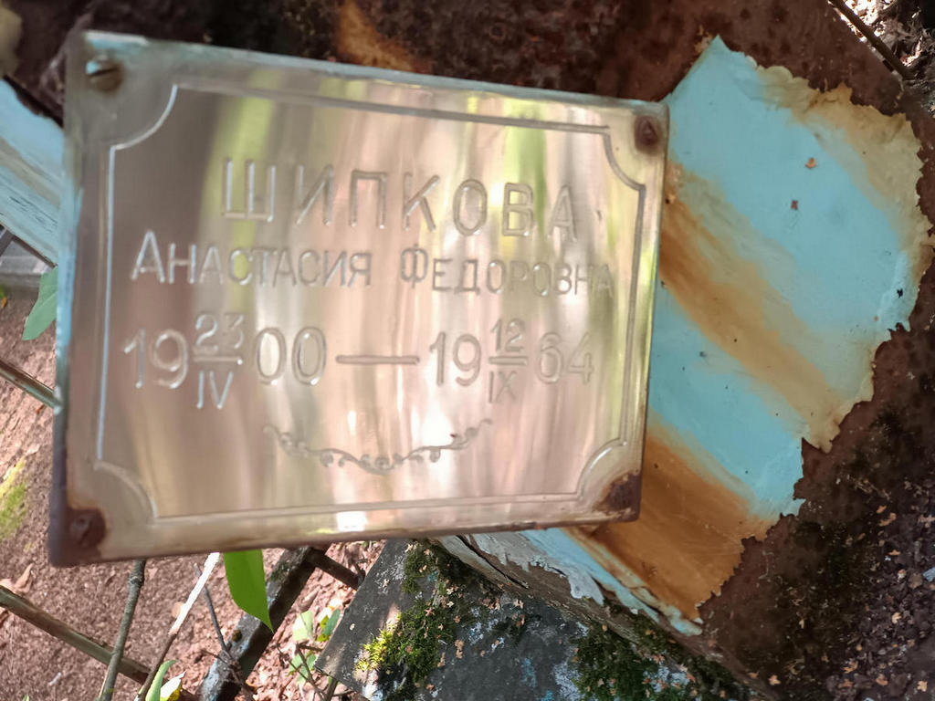 Шипкова Анастасия Федоровна