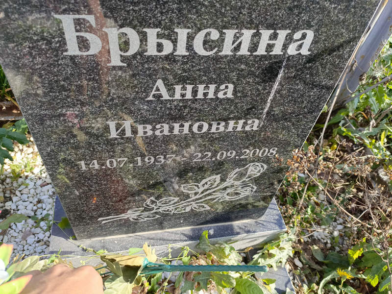 Брысина