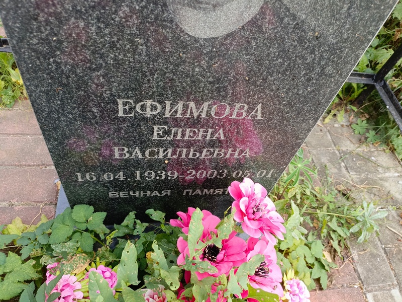 Ефимова