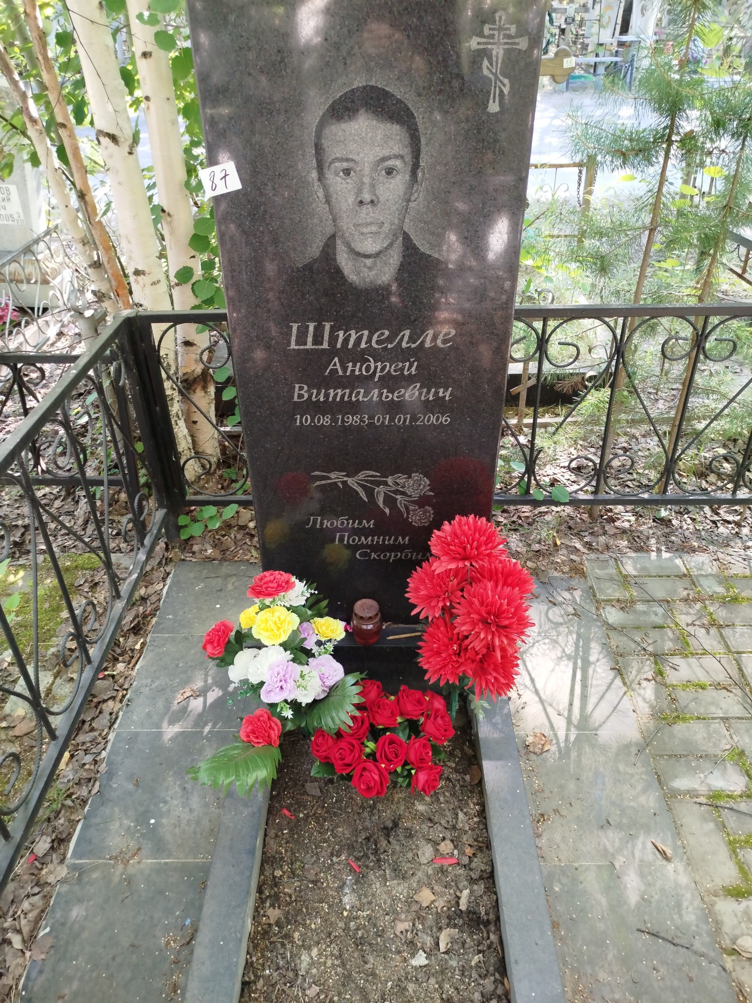 Штелле Андрей Витальевич