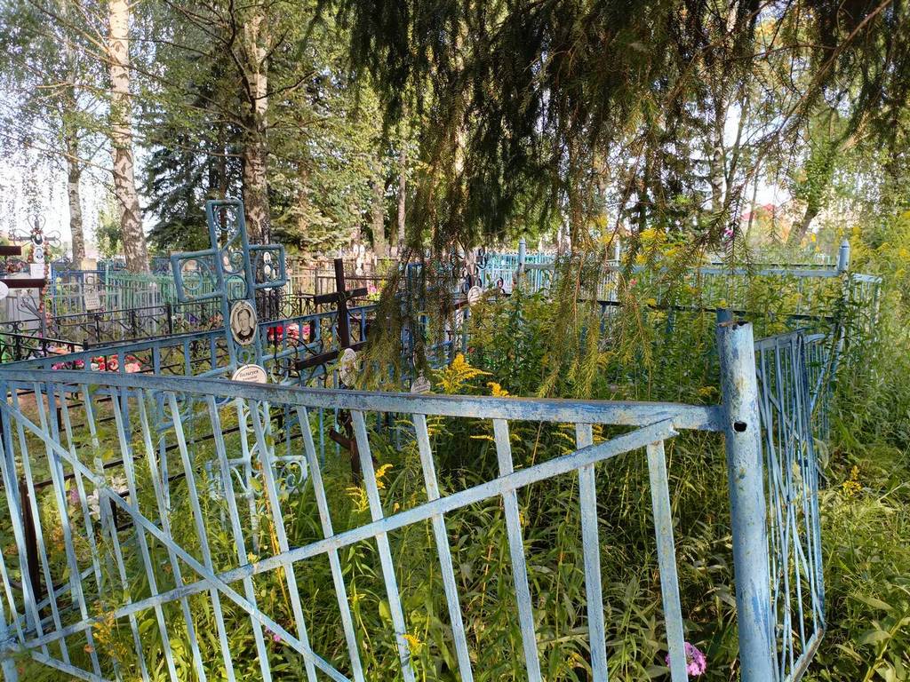 Пальгуев Александр Алексеевич