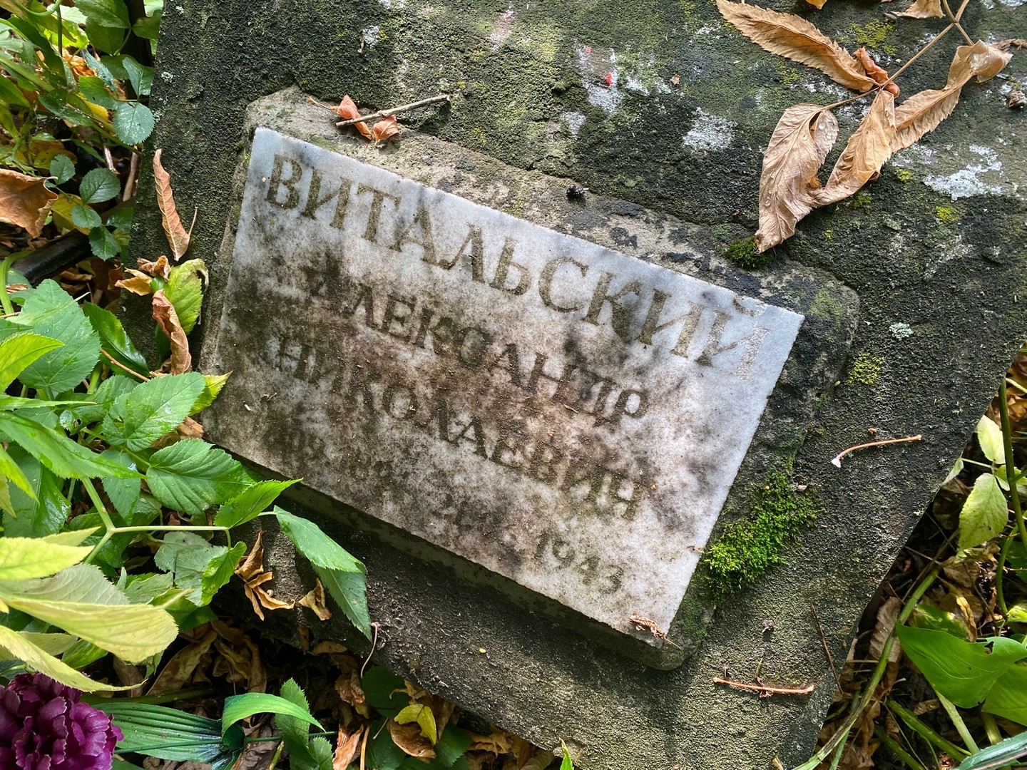 Витальский