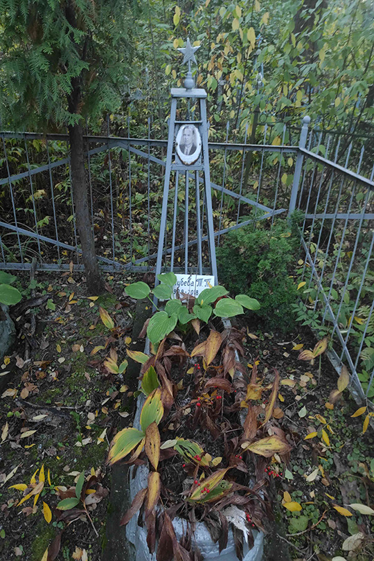 Голубева Т. Т.
