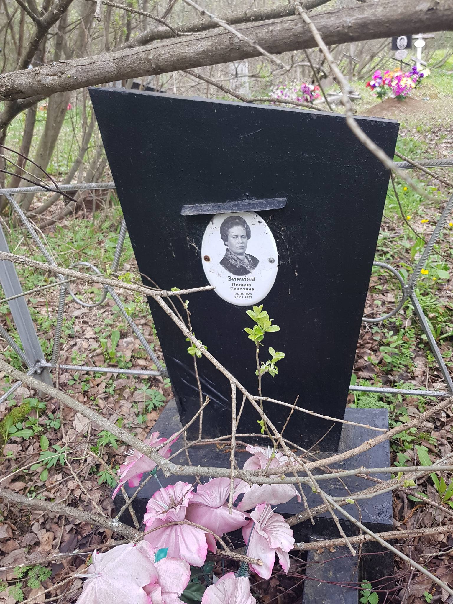 Зимина Полина Павловна
