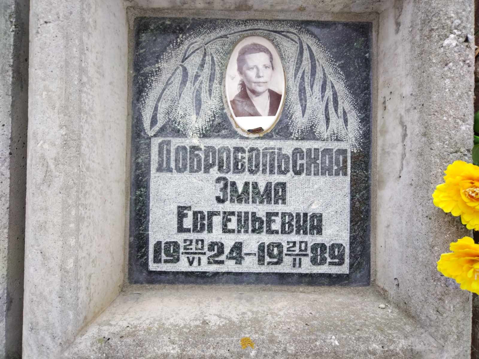 Добровольская Эмма Евгеньевна
