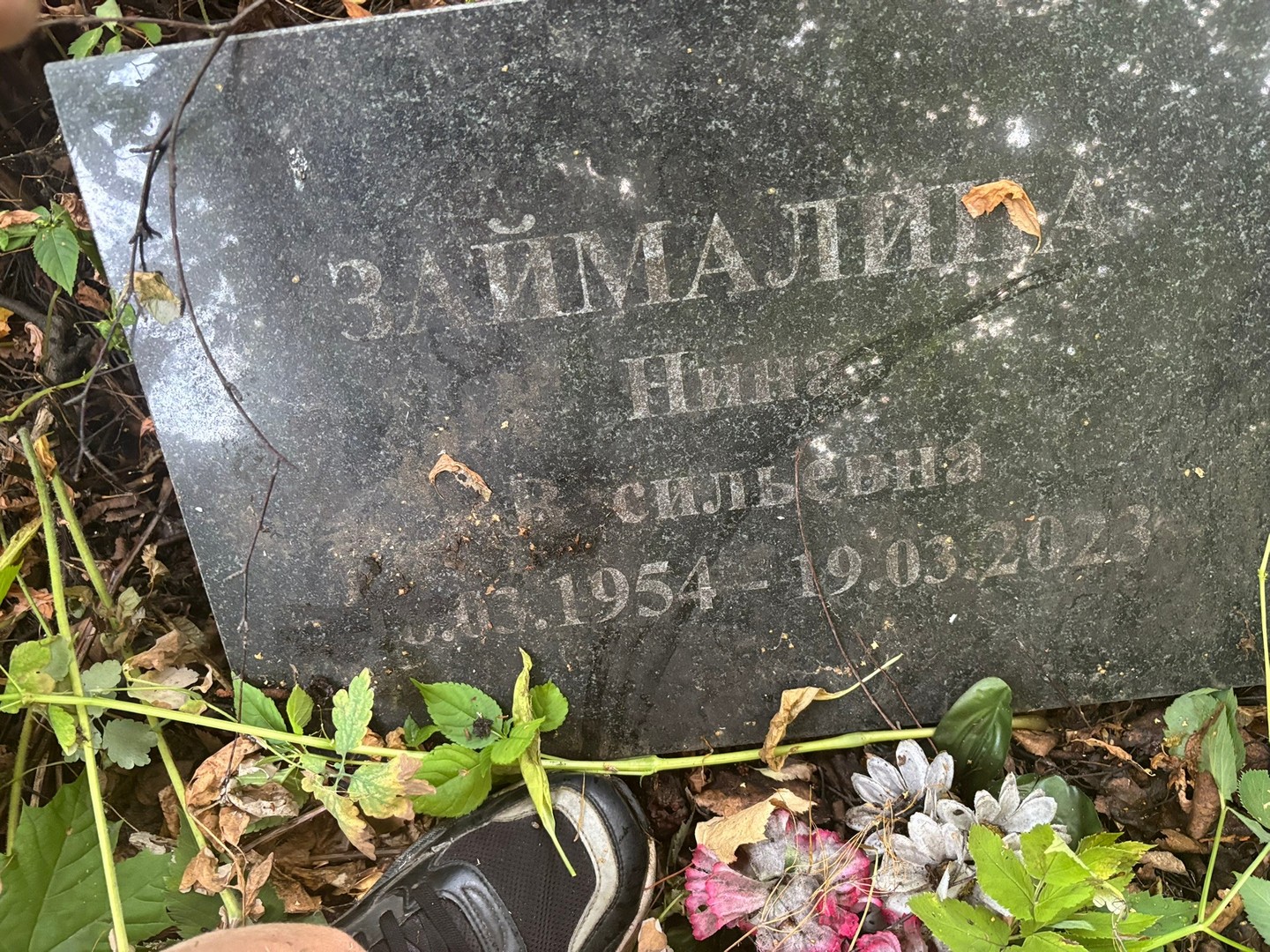 Займалина