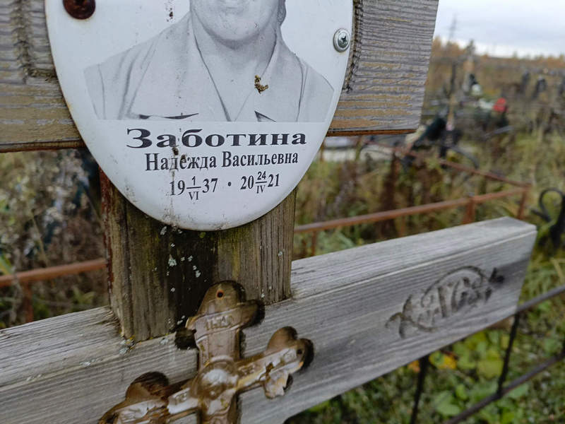 Заботина
