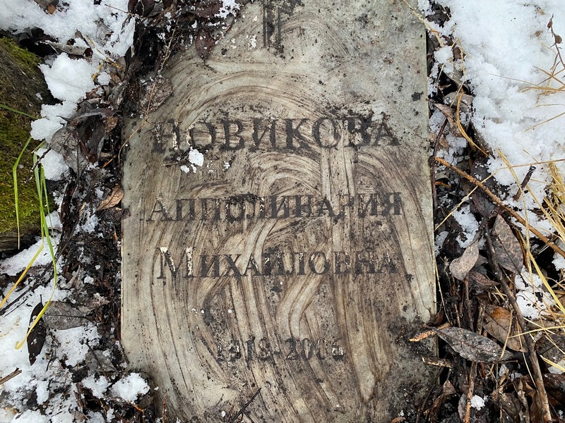 Аполлинария Новикова Михайловна