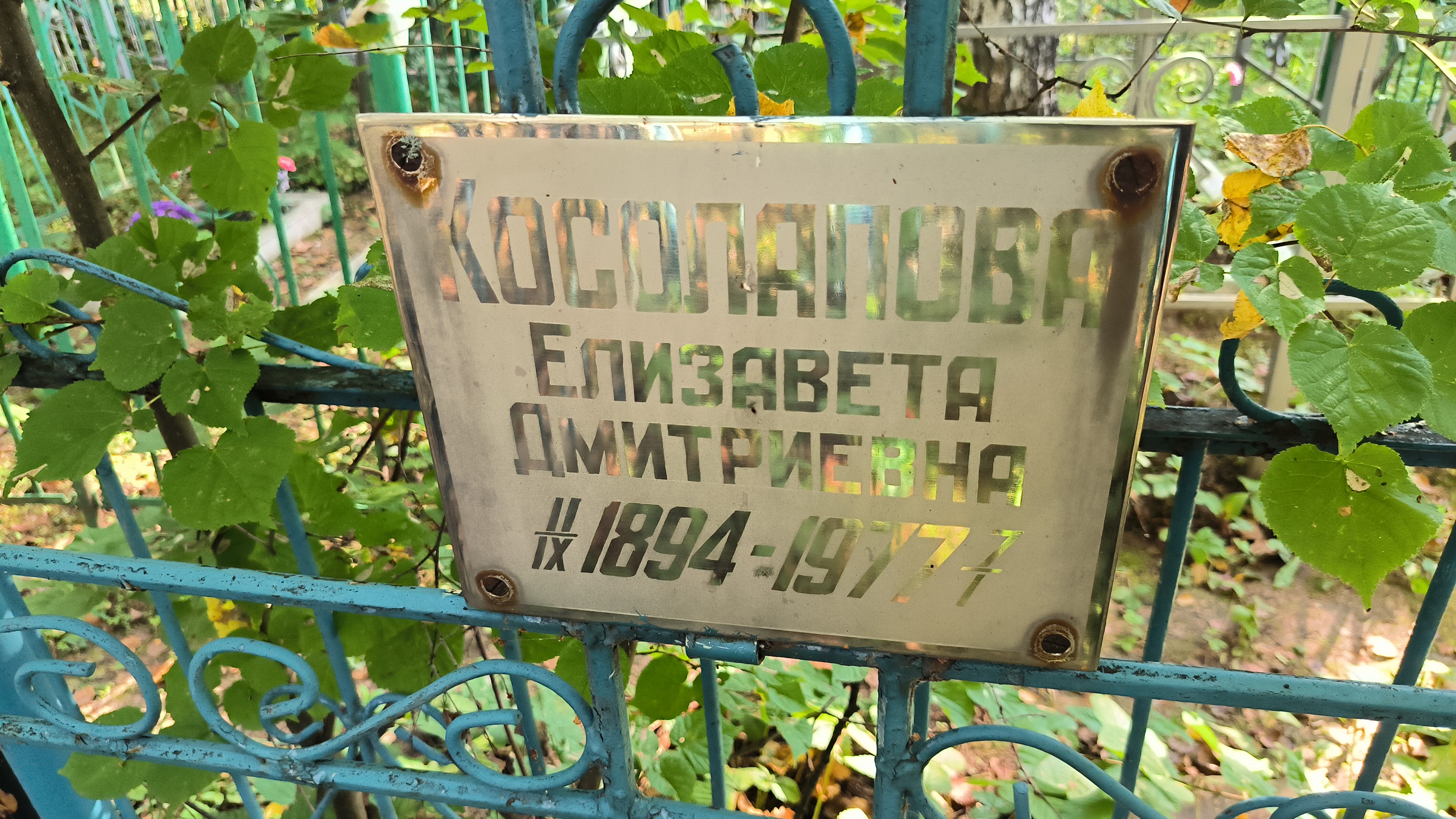 Косолапова Елизавета Дмитриевна