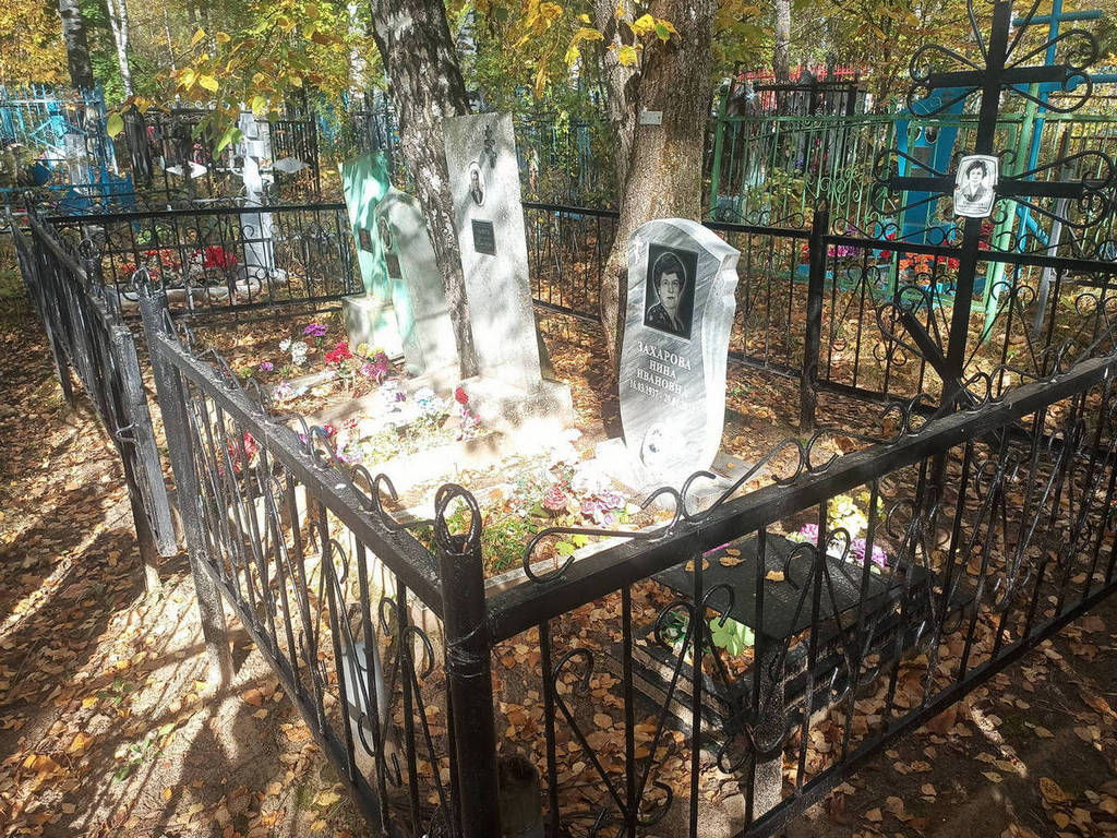 Ульянов Александр Иванович