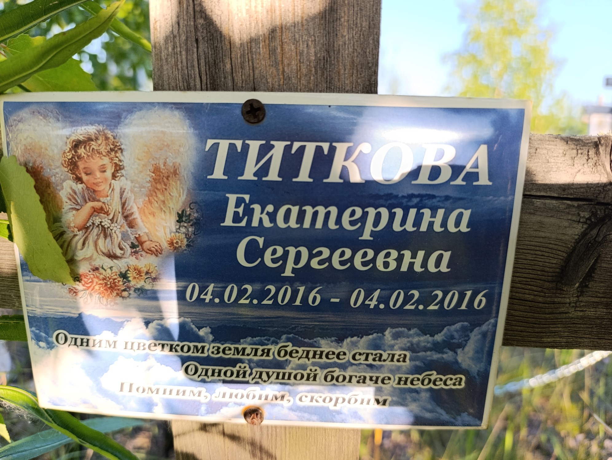 Титкова Екатерина Сергеевна