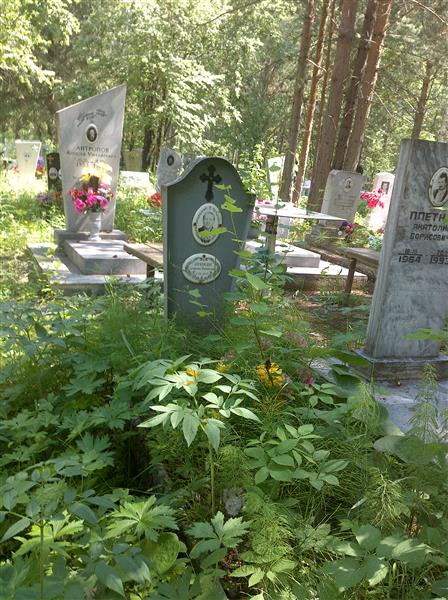 Крежевских Алефтина Михайловна