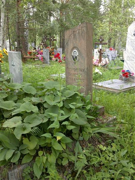 Фоминых Валерий Иванович