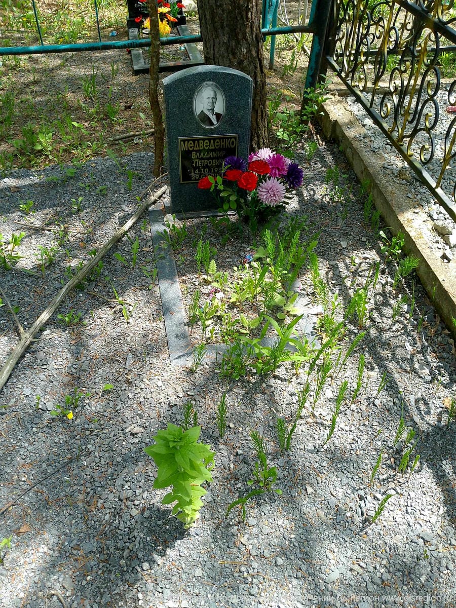 Медведенко Владимир Петрович
