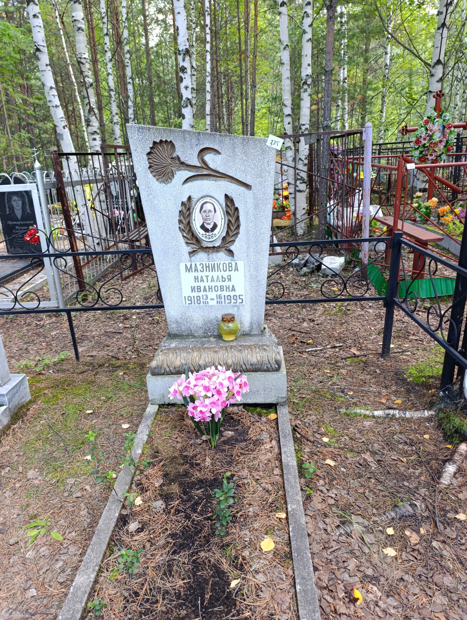 Мазникова Наталья Ивановна